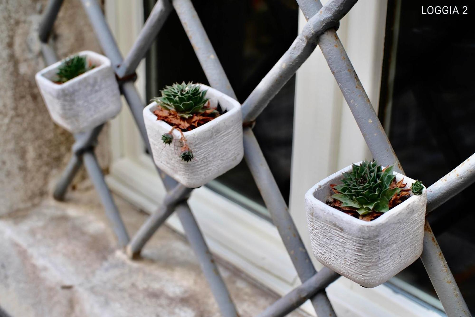 Loggia Motovun Apartment ภายนอก รูปภาพ