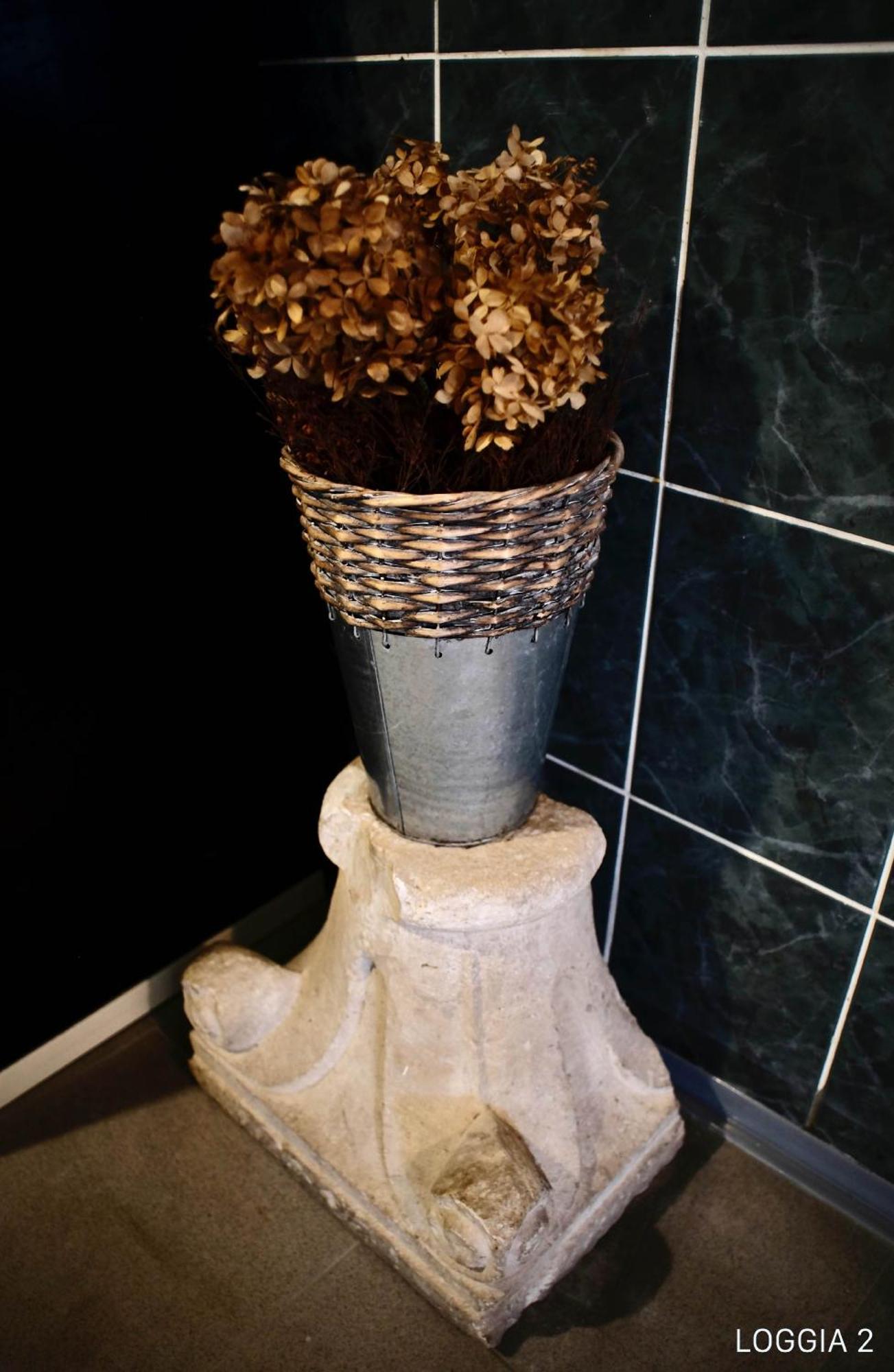 Loggia Motovun Apartment ภายนอก รูปภาพ